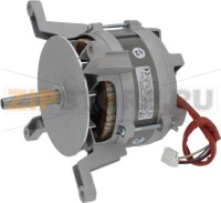 MOTOR FIR 3036A2350