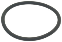 УПЛОТНИТЕЛЬ OR 06300 FKM