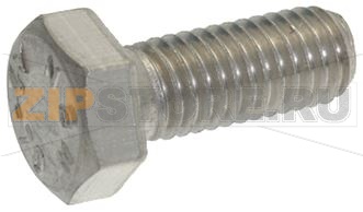 VITE A TESTA ESAGONALE - 10 PEZZI 