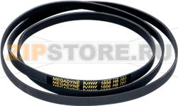 BELT 1856 H8 