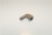RACCORDO A GOMITO  1/8 M/F A316 #
