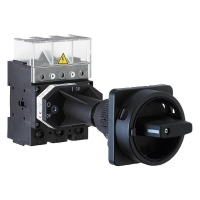 Выключатель-разъединитель 100 А, 1x90°, 1 шт Sälzer H410-41300-281M1
