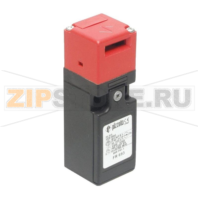 Выключатель безопасности 250 В/AC, 6 А, IP67, 1 шт Pizzato Elettrica FR 993-M2 