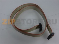 CAVO FLAT 16 POLI 650 mm