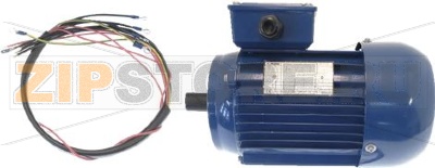 MOTOR ASSY XBE20 