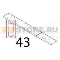 Foots 4 ass. y Angelo Po 1G1BR1G