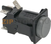 ЗОЛОТИСТО-СЕРЫЙ ПЕРЕКЛЮЧАТЕЛЬ