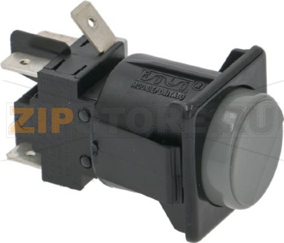 ЗОЛОТИСТО-СЕРЫЙ ПЕРЕКЛЮЧАТЕЛЬ 