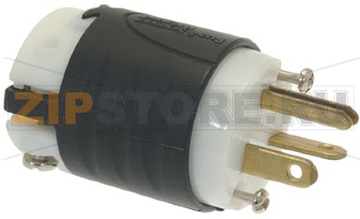 SPINA ELETTRRICA 20A 250V 5466X 