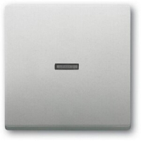 Клавиша выключателя/переключателя/кнопки, сталь ABB 2CKA001751A3152