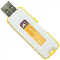 Накопитель USB 4 Гб Kingston DTIG2-4GB-2P