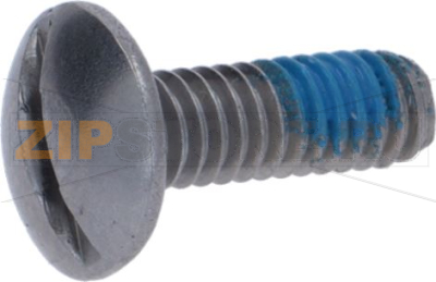 SCREW 