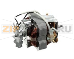 MOTOR &amp;amp; FUSE (120V ONLY) 