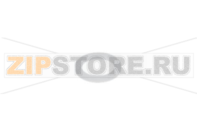 PTFE GASKET 
