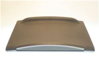 BIN DOOR ASSY