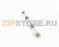 GRUPPO ALBERO PULEGGIA