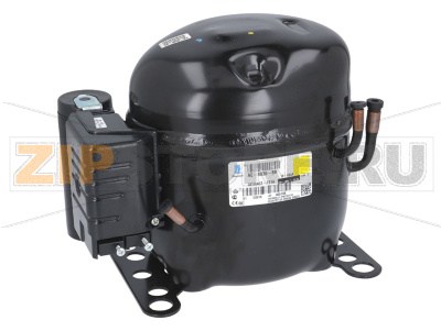 Компрессор 220/240 В, 50 Гц Brema IF 75 Компрессор 220/240 В, 50 Гц для льдогенератора Brema IF 75Запчасть на деталировке под номером: 7