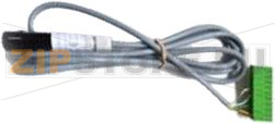 TEMPERATURE PROBE 2000 mm 