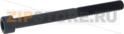 Screw M6 X 65 Tcei Brun. U5931 