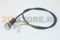 IGNITION BUTTON WITH INDICATOR LIGHT Y12