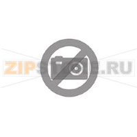 ASSIEME GRUPPO CAFFÉ