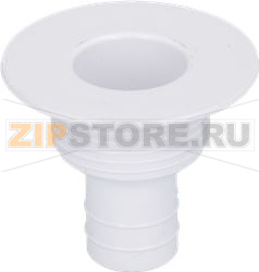 DRAIN ASSEMBLY 