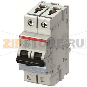 Выключатель автоматический S402P-K3 ABB 2CCG000443R0001 