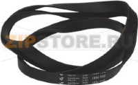 BELT 1830 H8 EL