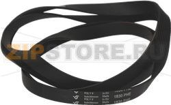 BELT 1830 H8 EL 