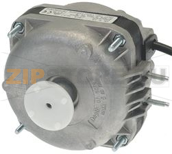 MOTORE ELCO 5W TRIVALENTE 