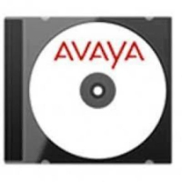 Программное обеспечение Avaya 700513985