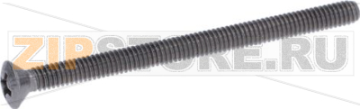 SCREW 