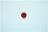 TASTO,ROSSO,D.8MM