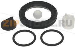 GASKET ASSY F/FLAT &amp; TRI-LOBE KEG COUPLE 