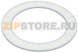 GUARNIZIONE RISCALDATORE 