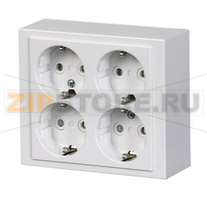 Розетка, монтаж: накладной, белая ABB 2TKA00001613 