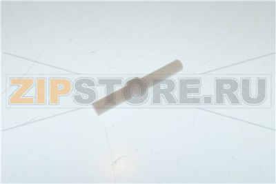 NUT PTFE 