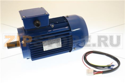 MOTORE; TRI EQ TR260 