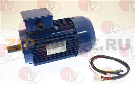 MOTORE; TRI EQ TR260 