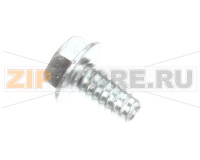 SCREW 10-24X3/8 PHMS F
