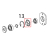 Pignone P.8 Z16 (7GN-20LN) Fimar PF40E