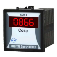 Измеритель мощности 48x96 мм, 230 В/AC Entes ECR-3-48