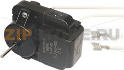 FAN MOTOR 