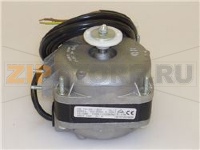 MOTORE ELCO 10W