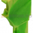 Start module for 1-conductor female connector; 1.5 mm?; 1-pole; 1,50 mm?; green-yellow Wago 2020-167 - Start module for 1-conductor female connector; 1.5 mm?; 1-pole; 1,50 mm?; green-yellow Wago 2020-167