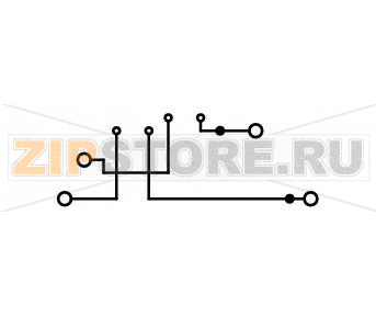 Двухуровневые клеммы с двойным размыкателем; L/L; для DIN-рейки 35 x 15 и 35 x 7,5; 2,5 мм; Push-in CAGE CLAMP®; 2,50 mm; серые Wago 2002-2941 