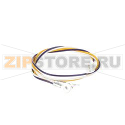 EB SENSOR LOOM - 2008 ONWARD 