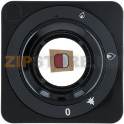 GAS DISC PLATE ø 85MM 