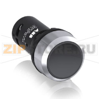 Кнопка CP2-30B-20 ABB 1SFA619101R3026