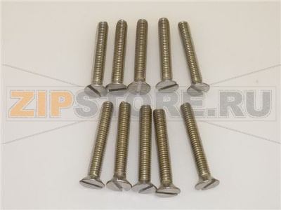 VITE A TESTA SVASATA PIANA M6x40 - 10 PZ 